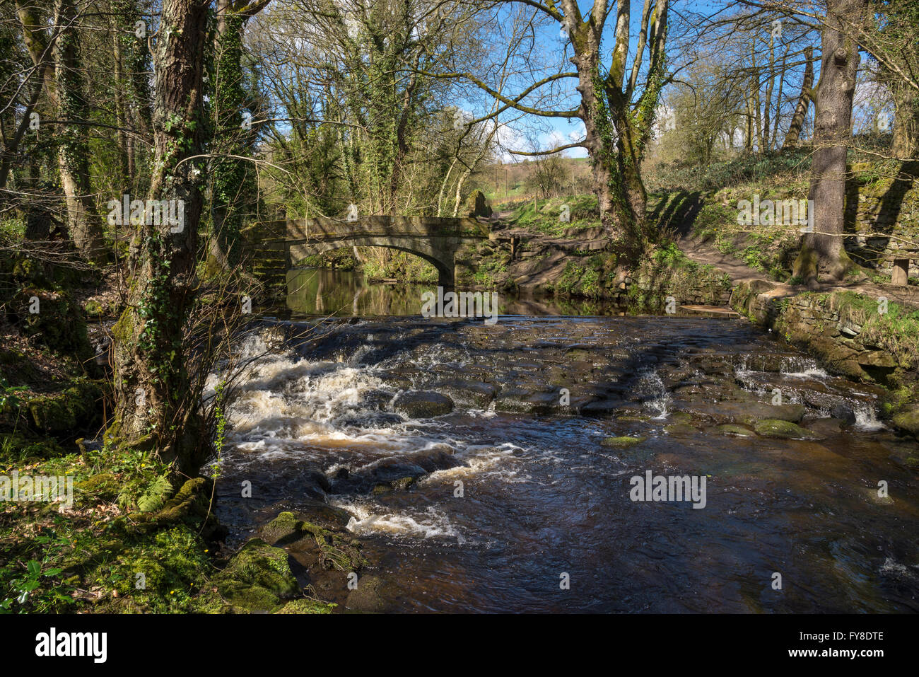 Rivelin Valley Spring A sunny spring day in the Rivelin valley near Sheffield. A weir near a ...