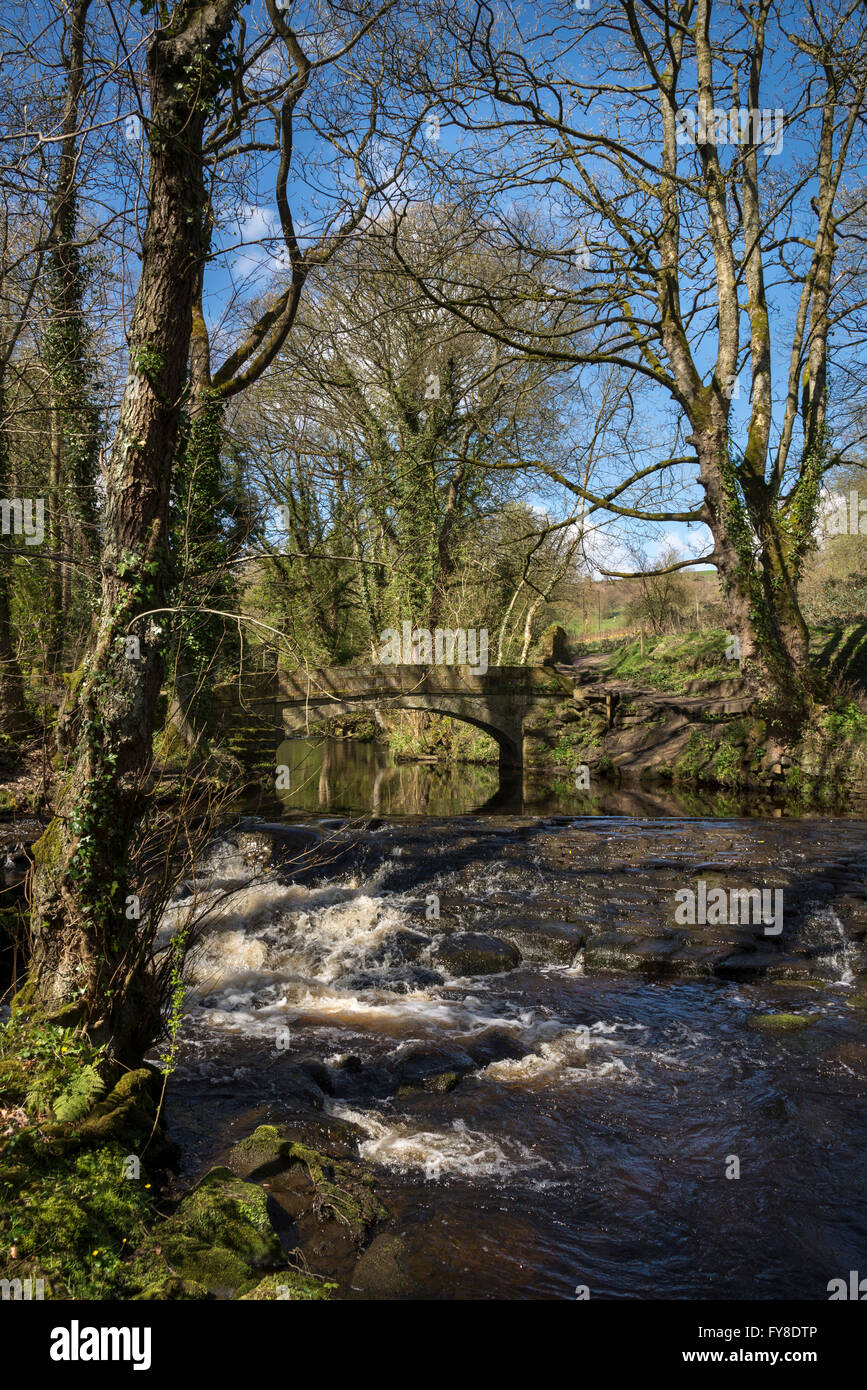 Rivelin Valley Spring A sunny spring day in the Rivelin valley near Sheffield. A weir near a ...