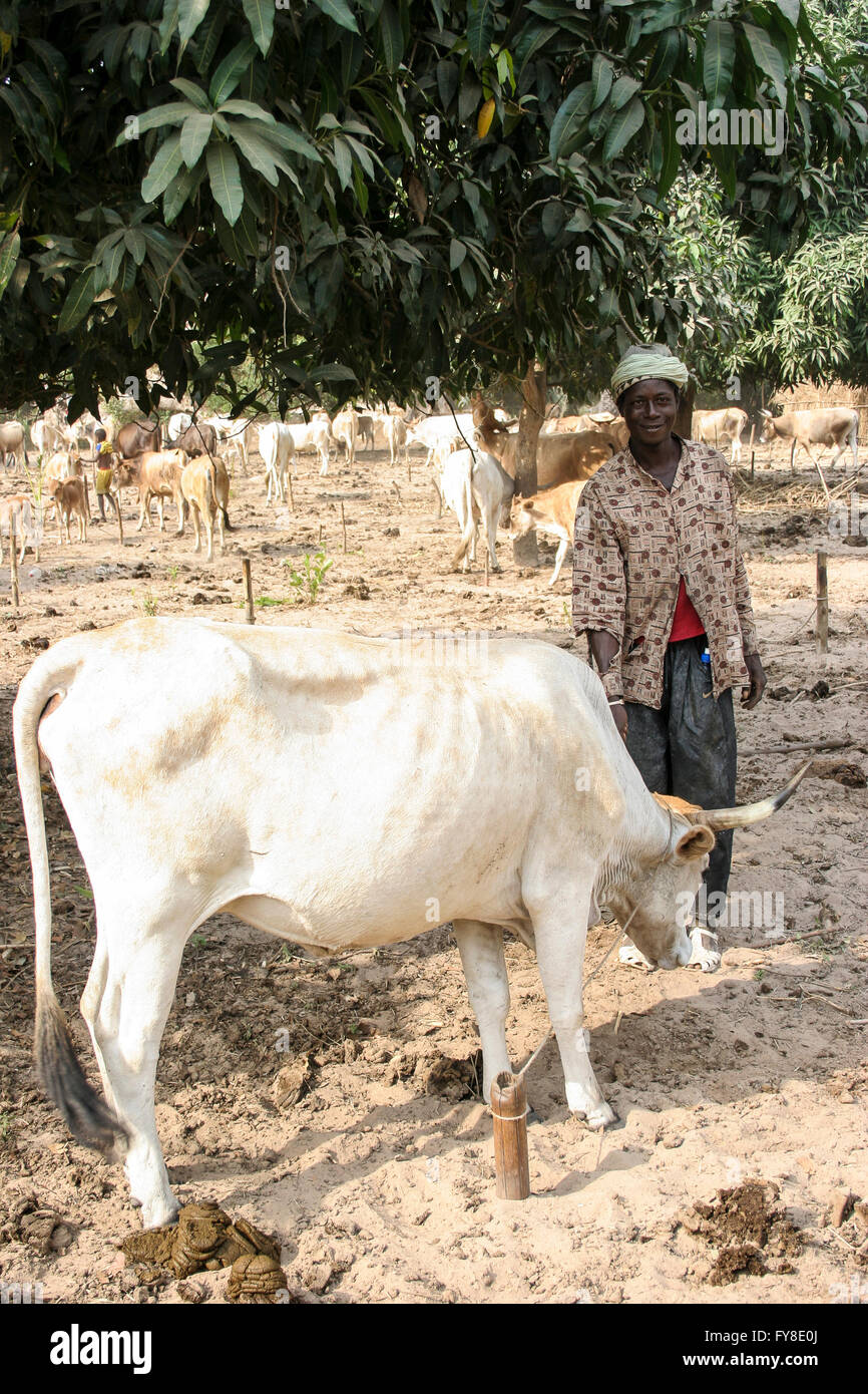 Village compound africa gambia hires stock photography and images Alamy