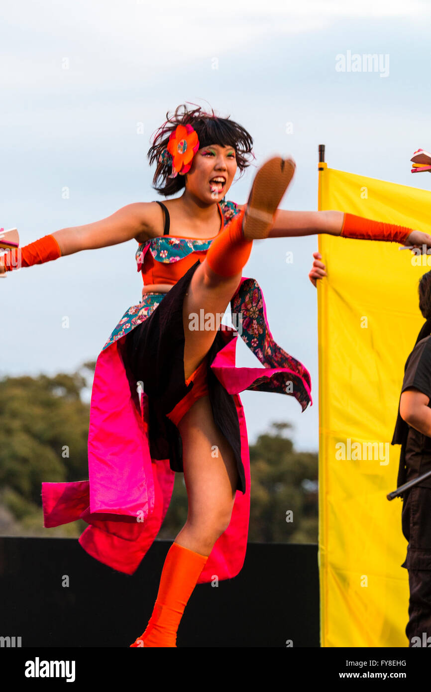 Hinokuni Yosakoi Dance Festival in Japan. Teenage woman, with flower in hair, wearing cropped top, dancing the Can-Can on stage. Kicking leg up. Stock Photo