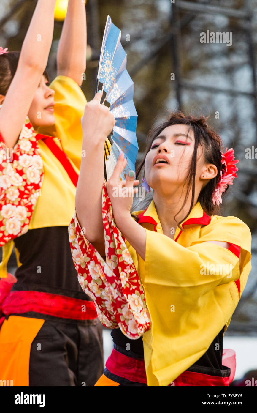 Close up of young Japanese woman dancing while wearing yellow yukata jacket and holding blue fan during the yearly Yosakoi dance festival at Kumamoto. Stock Photo