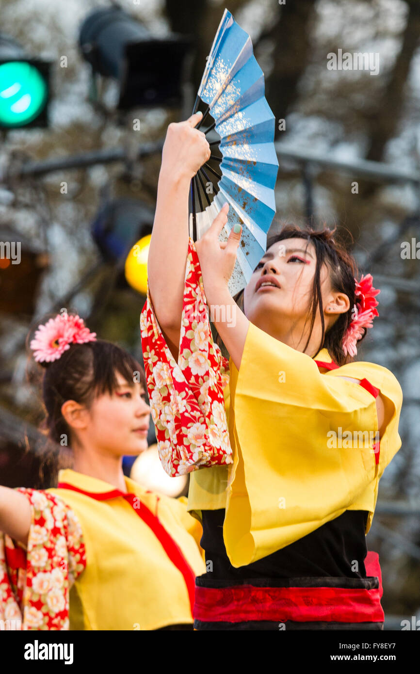 Close up of young Japanese woman dancing while wearing yellow yukata jacket and holding blue fan during the yearly Yosakoi dance festival at Kumamoto. Stock Photo