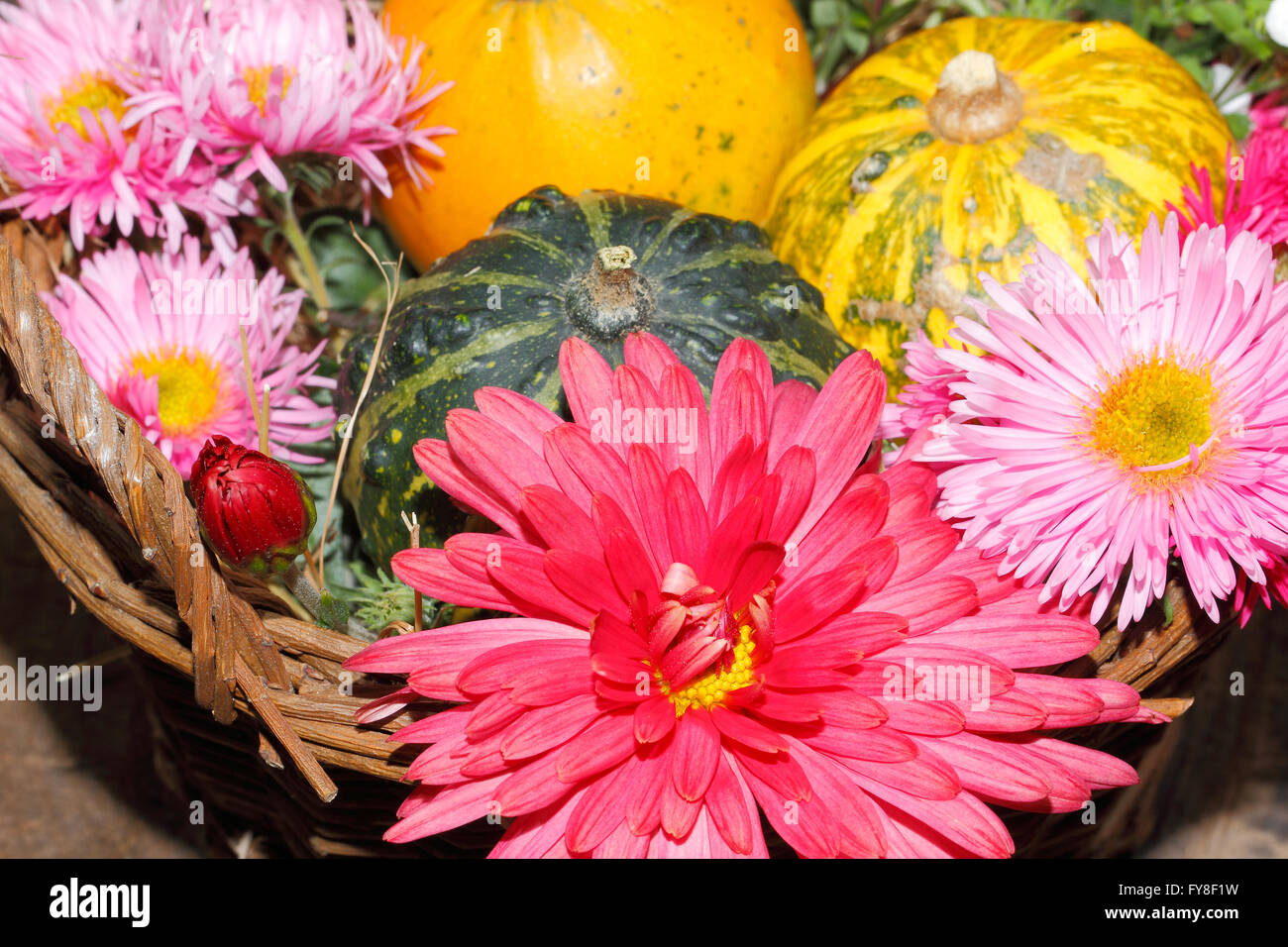 Flowers various garden flowers and ornamental gourds in a basket, table setting, place setting on a table Flowers, Thanksgiving Stock Photo