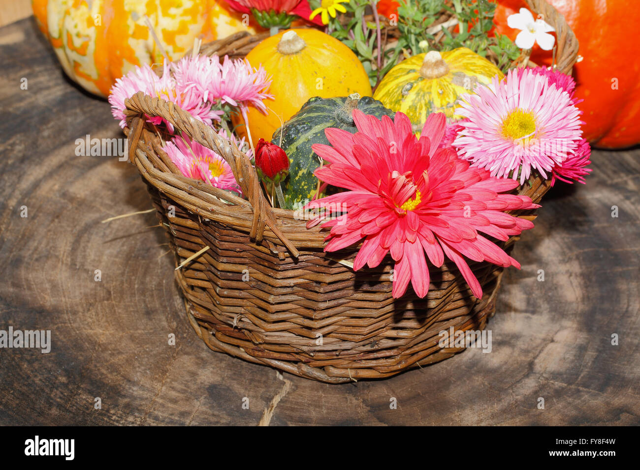 Flowers various garden flowers and ornamental gourds in a basket, table setting, place setting on a table Flowers, Thanksgiving Stock Photo