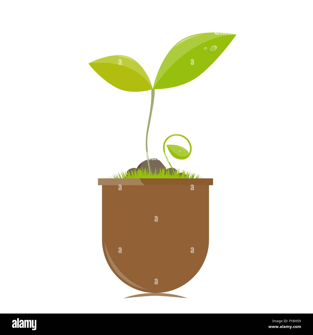Flower pot with plants vector illustration Stock Vector Image & Art - Alamy