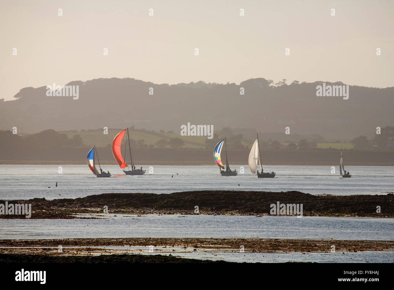 Sunsetwith whisky glass, from waterside house, Strangford Lough, Co Down, Northern Ireland Stock Photo