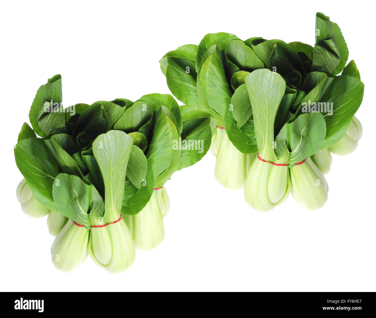 Bok choy bunch hi-res stock photography and images - Alamy
