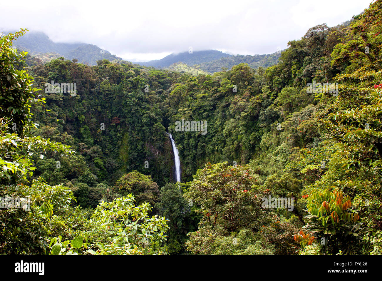 Famous waterfall La Fortuna (Costa Rica) Stock Photo