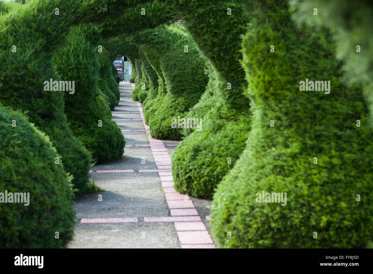 The Francisco Alvardo Park with its famous topiary in Zarcero, Costa Rica Stock Photo
