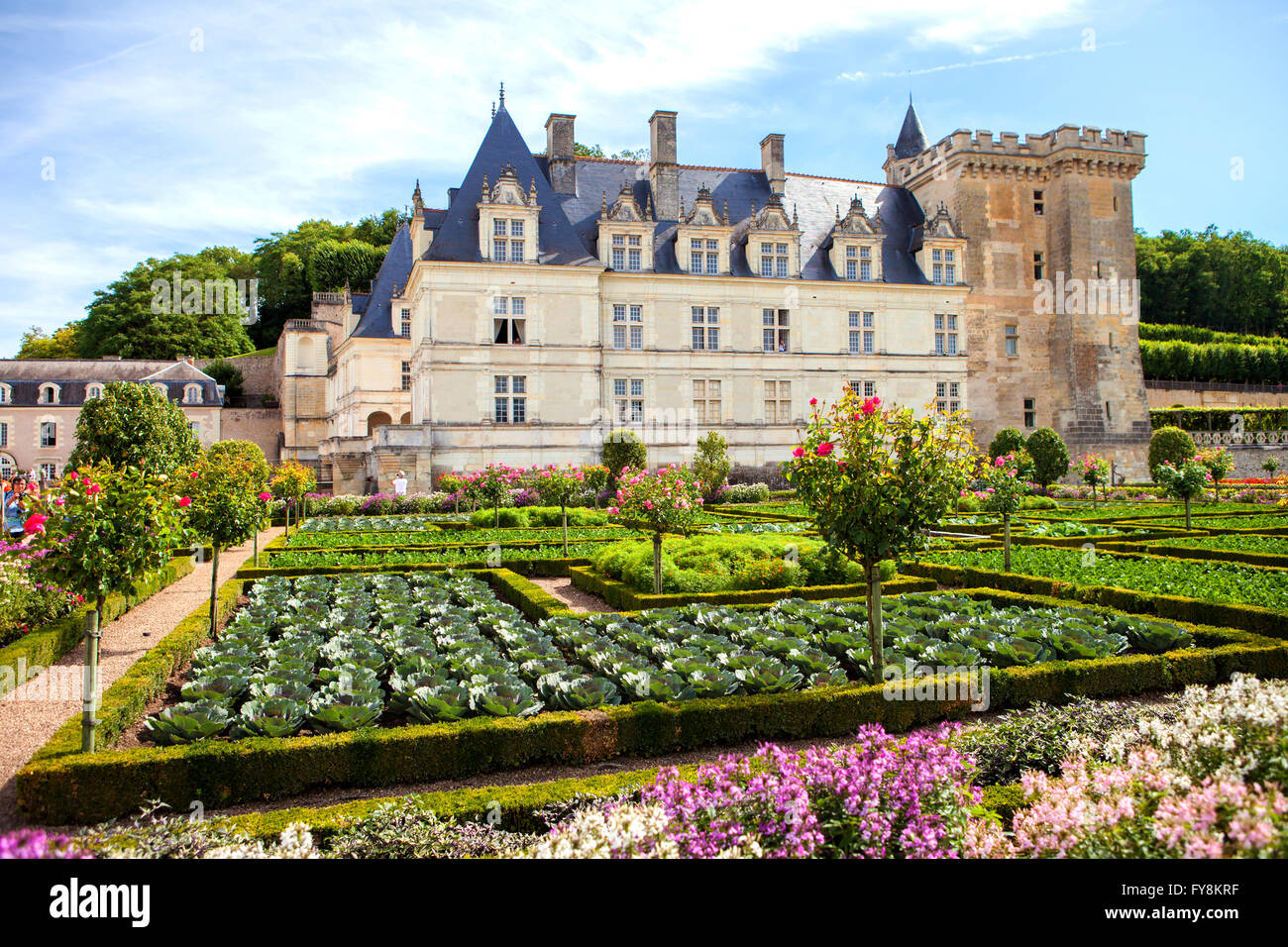 VILLANDRY, FRANCE - 26 AUGUST 2015, Chateau de Villandry is a castle-palace located in Villandry, in department of Indre-et-Loir Stock Photo
