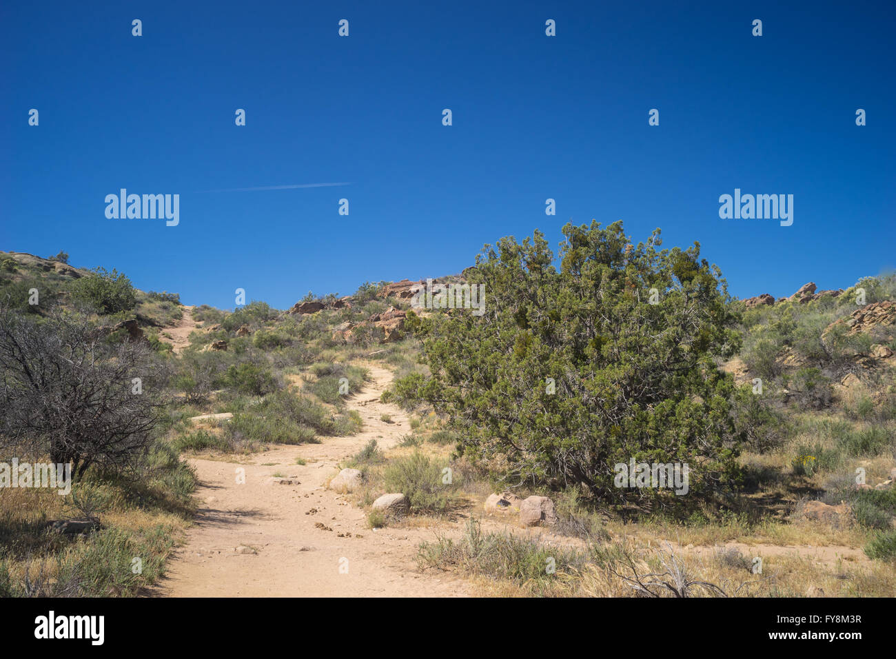 Dirt hiking trail through the hills of the Mojave desert Stock Photo ...