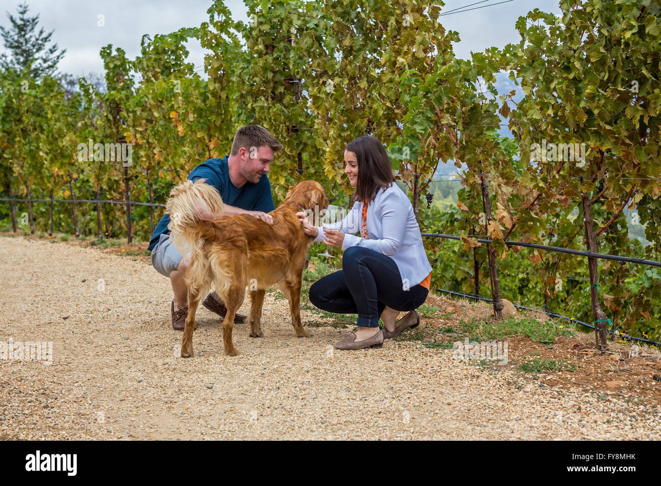 people, petting dog, wine tasting, winery tour, Barnett Vineyards, Spring Mountain Road, Saint Helena, Napa Valley, California Stock Photo