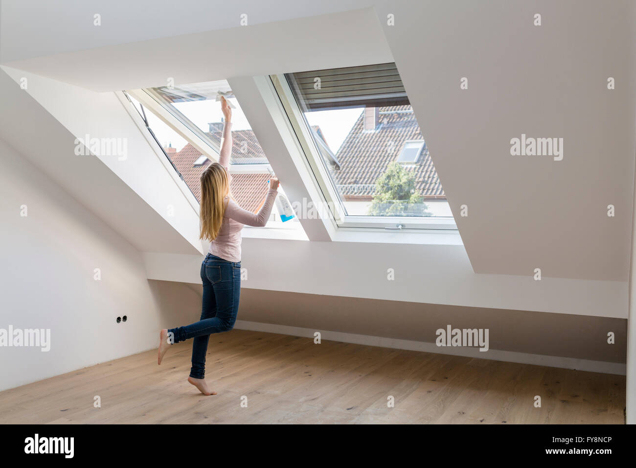Stunning Penthouse Apartment Window Cleaning For Natural Light image