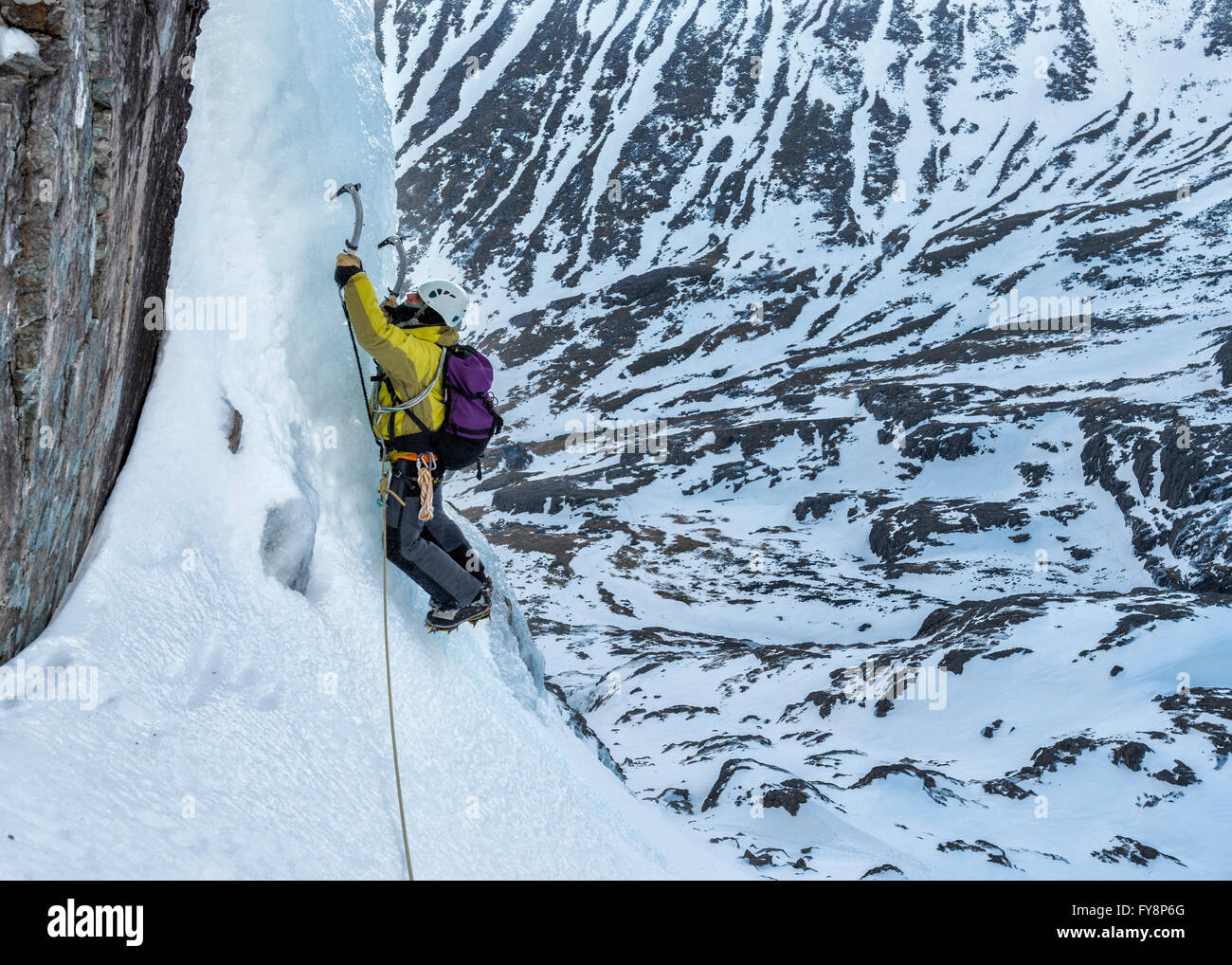 United Kingdom, Scotland, Ben Nevis, ice climbing Stock Photo Alamy