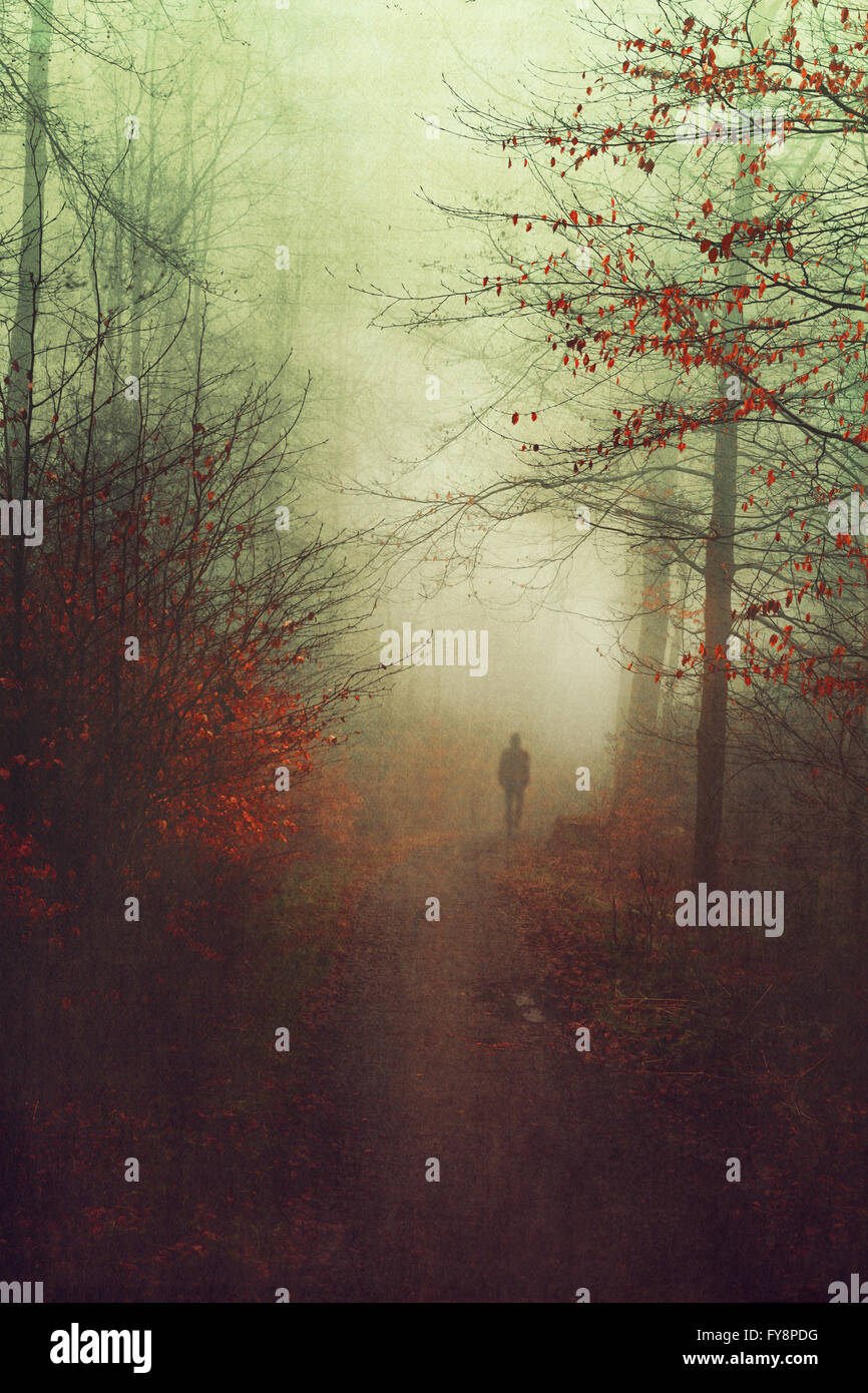 Silhouette of man walking in an autumnal forest Stock Photo - Alamy