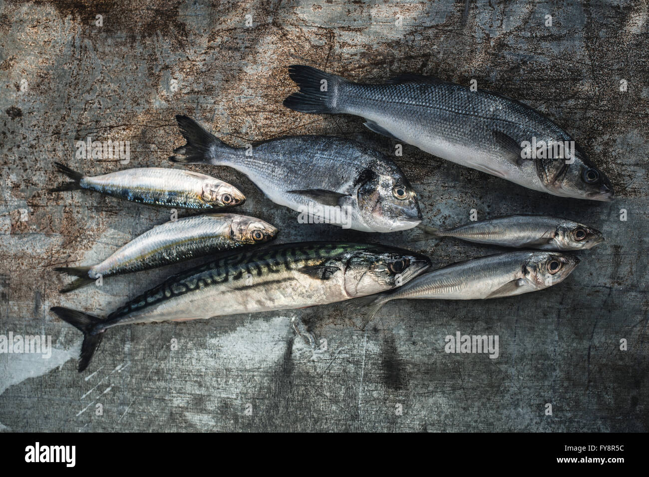 Raw fish, Sea bream, sea bass, mackerel and sardines Stock Photo Alamy