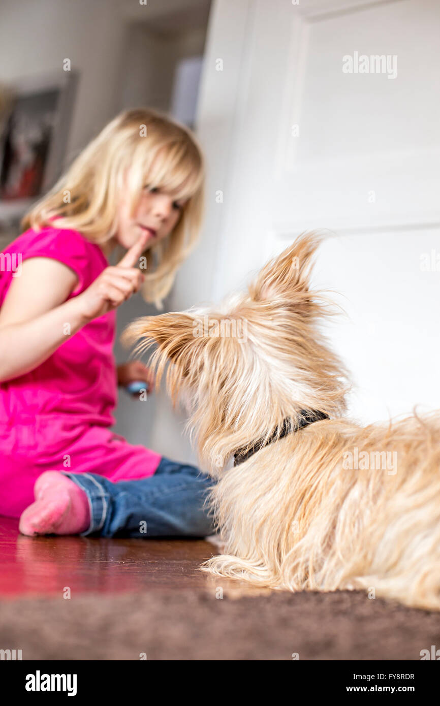 Little girl with her dog at home Stock Photo - Alamy