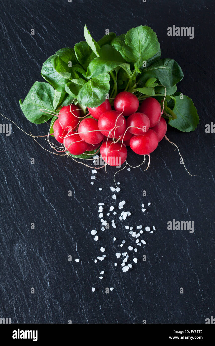 Radishes with salt hi-res stock photography and images - Alamy