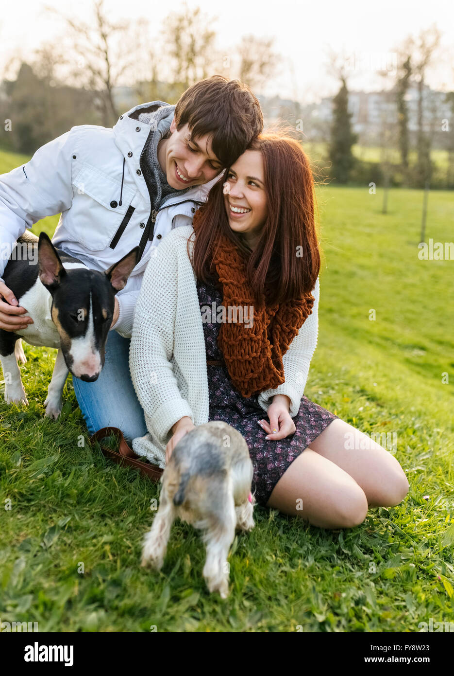 Young couple with their dogs on a meadow Stock Photo - Alamy
