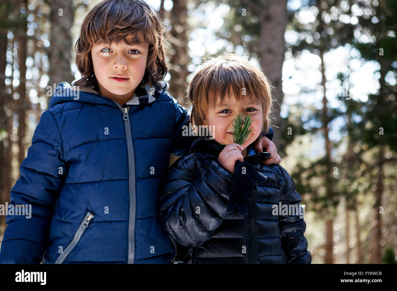 Portrait of two little boys in the woods Stock Photo - Alamy