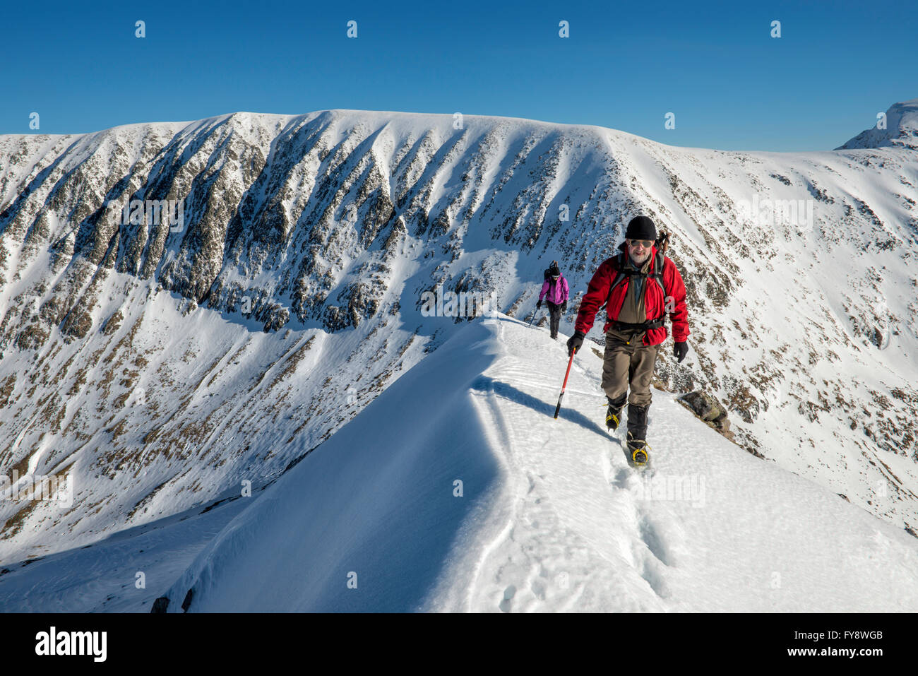 United Kingdom, Scotland, Ben Nevis, Carn Mor Dearg, mountaineers Stock Photo