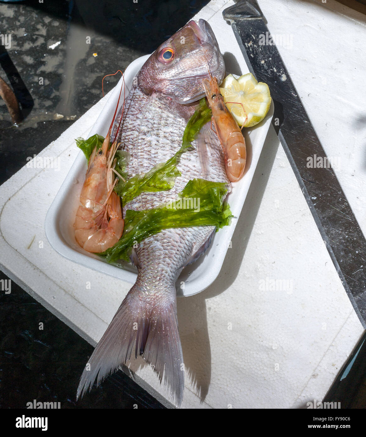 Dentice, snapper fish. exposedin market Stock Photo