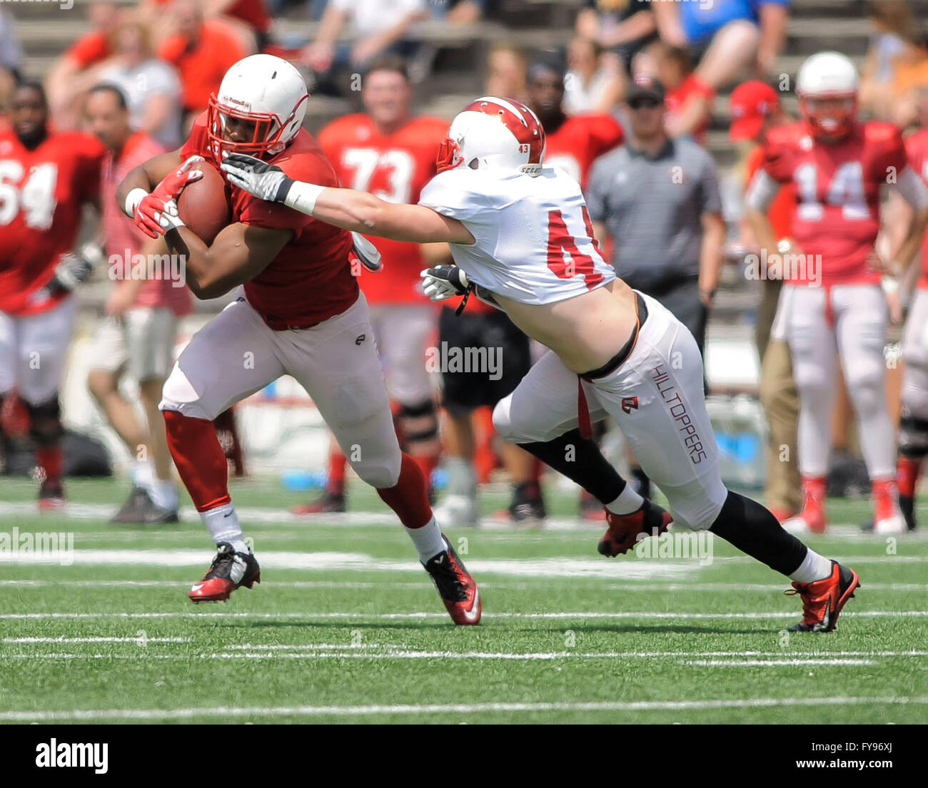 Taywan Taylor, Pro Hilltoppers Shining in NFL Training Camps - Western  Kentucky University Athletics