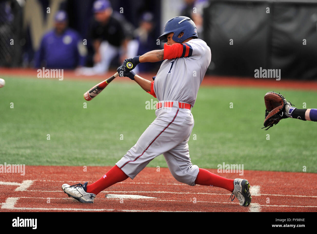 Huskyballpark hi-res stock photography and images - Alamy