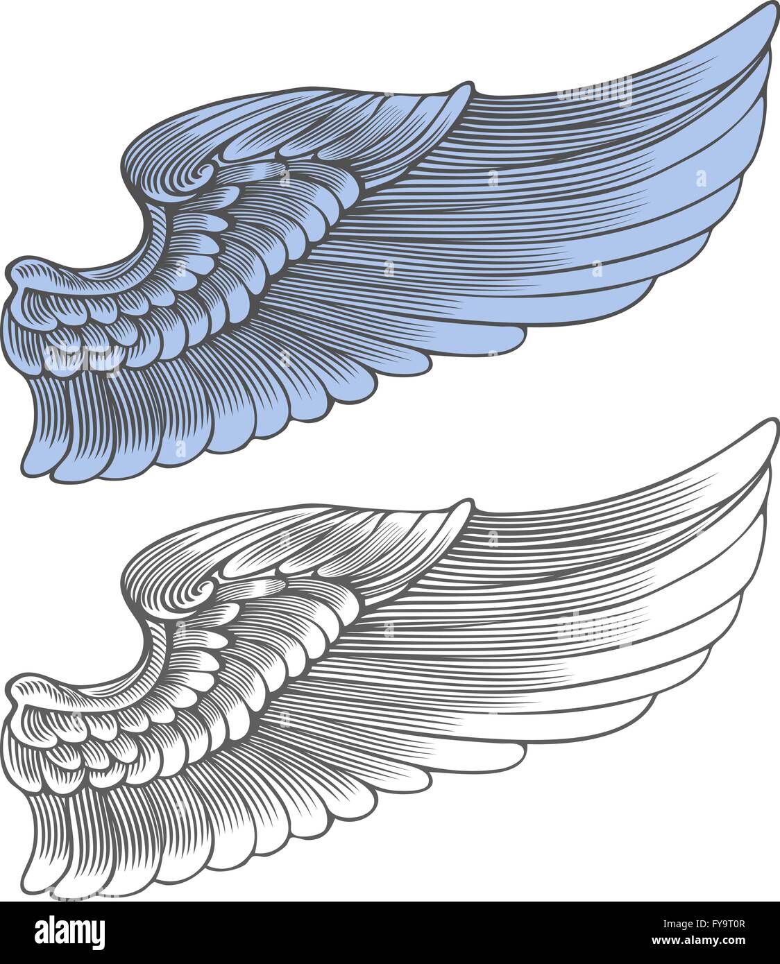 Wing in engraving style Stock Vector