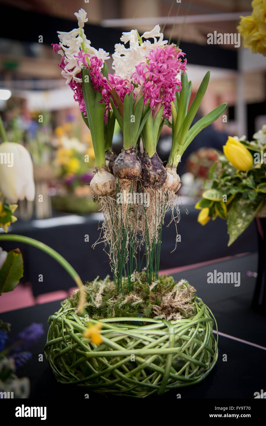 Flower arrangement bulbs in the air at Cake International – The Sugarcraft, Cake Decorating and Baking Show in London Stock Photo