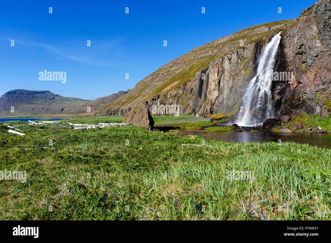 Waterfall, Hornstrandir nature reserve, Westfjords, Iceland, Europe Stock  Photo - Alamy