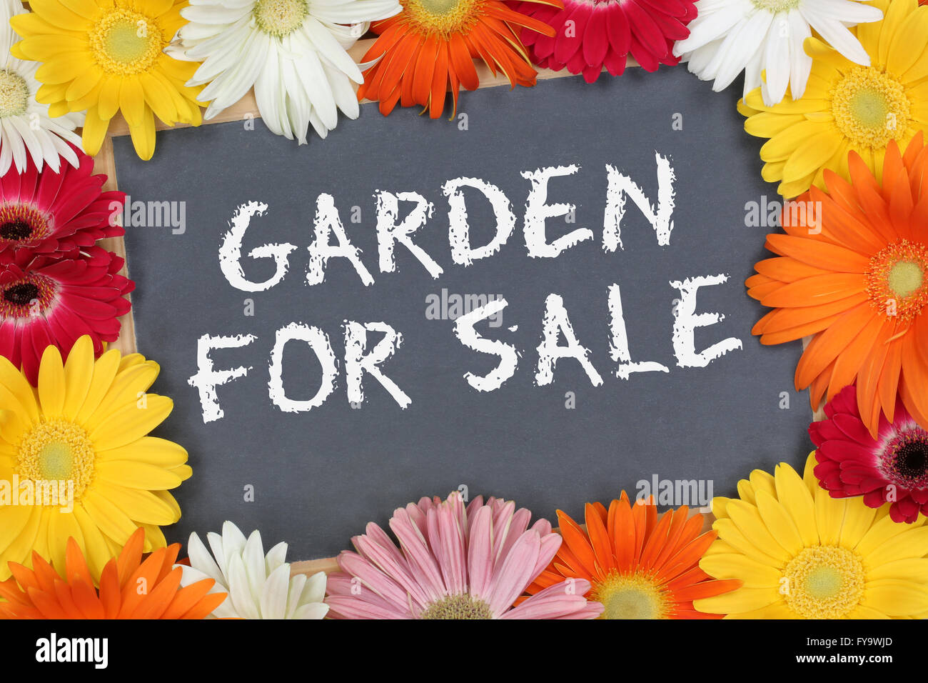 Garden for sale with colorful flowers flower board sign Stock Photo - Alamy