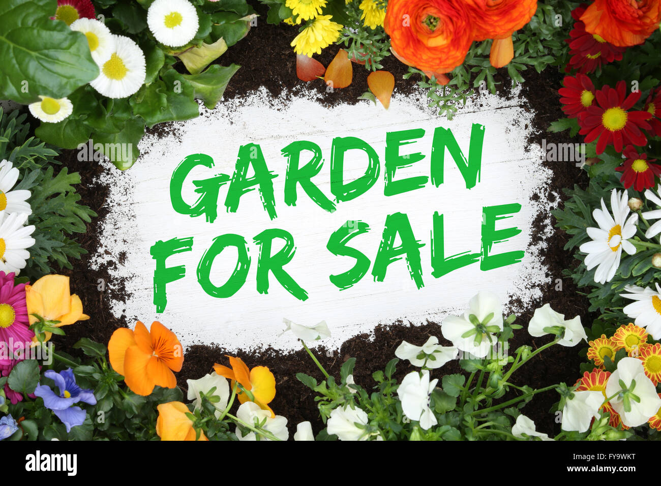 Garden for sale with flowers flower on wooden board Stock Photo