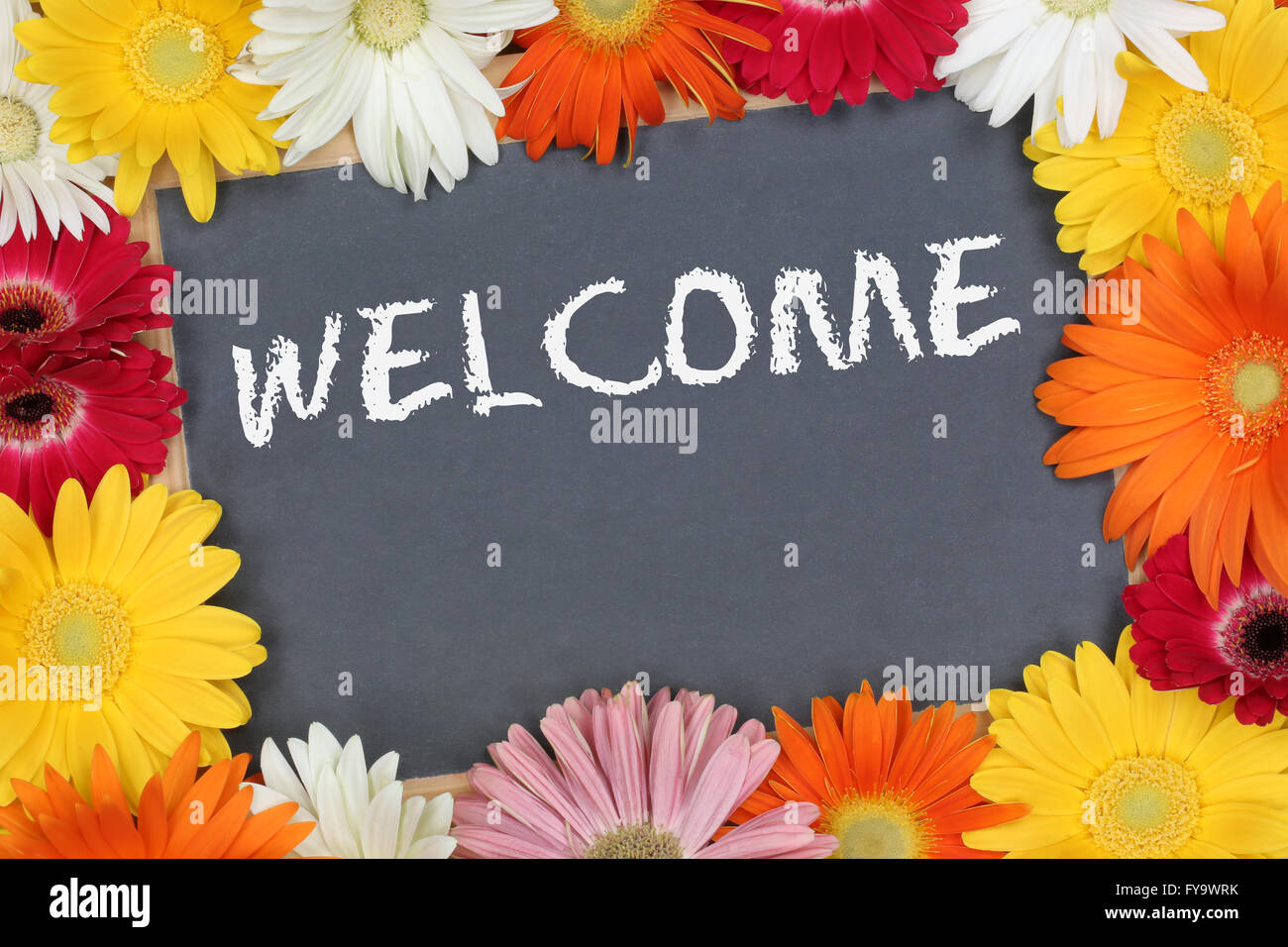 Welcome Images With Flowers Hd