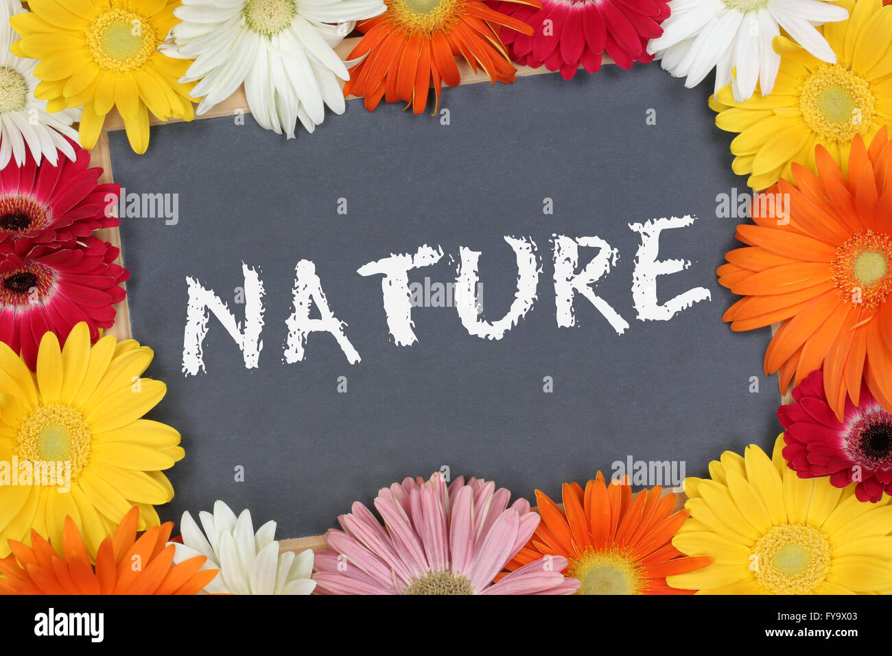 Nature garden with colorful flowers flower board sign Stock Photo