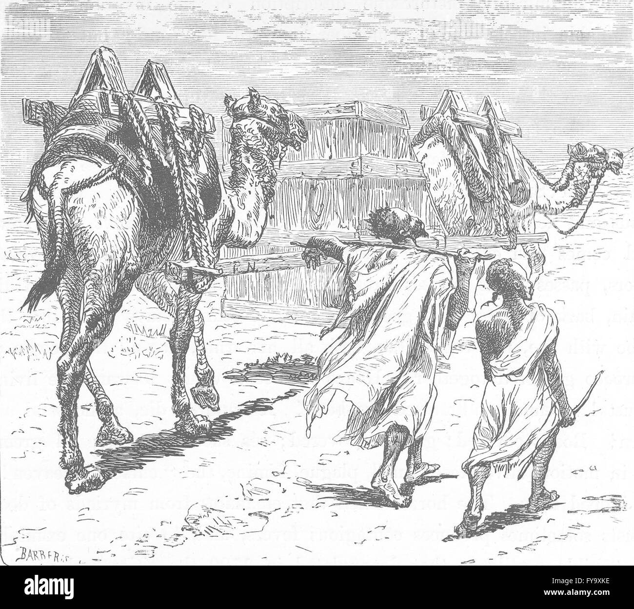 MOROCCO: The camel conveyance, antique print 1882 Stock Photo
