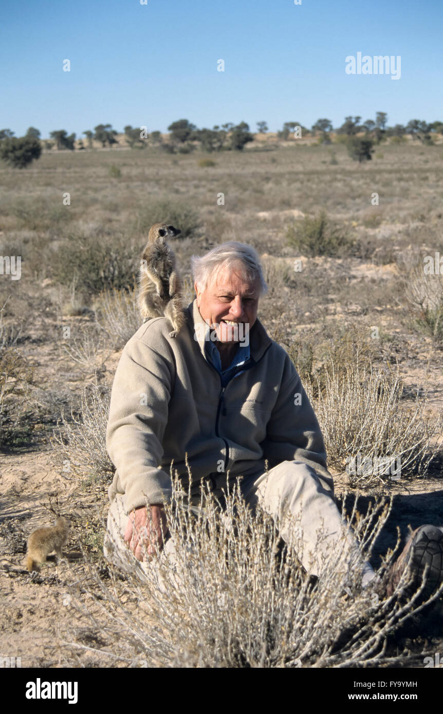 Sir David Attenborough with meerkat on shoulder for BBC series The Life