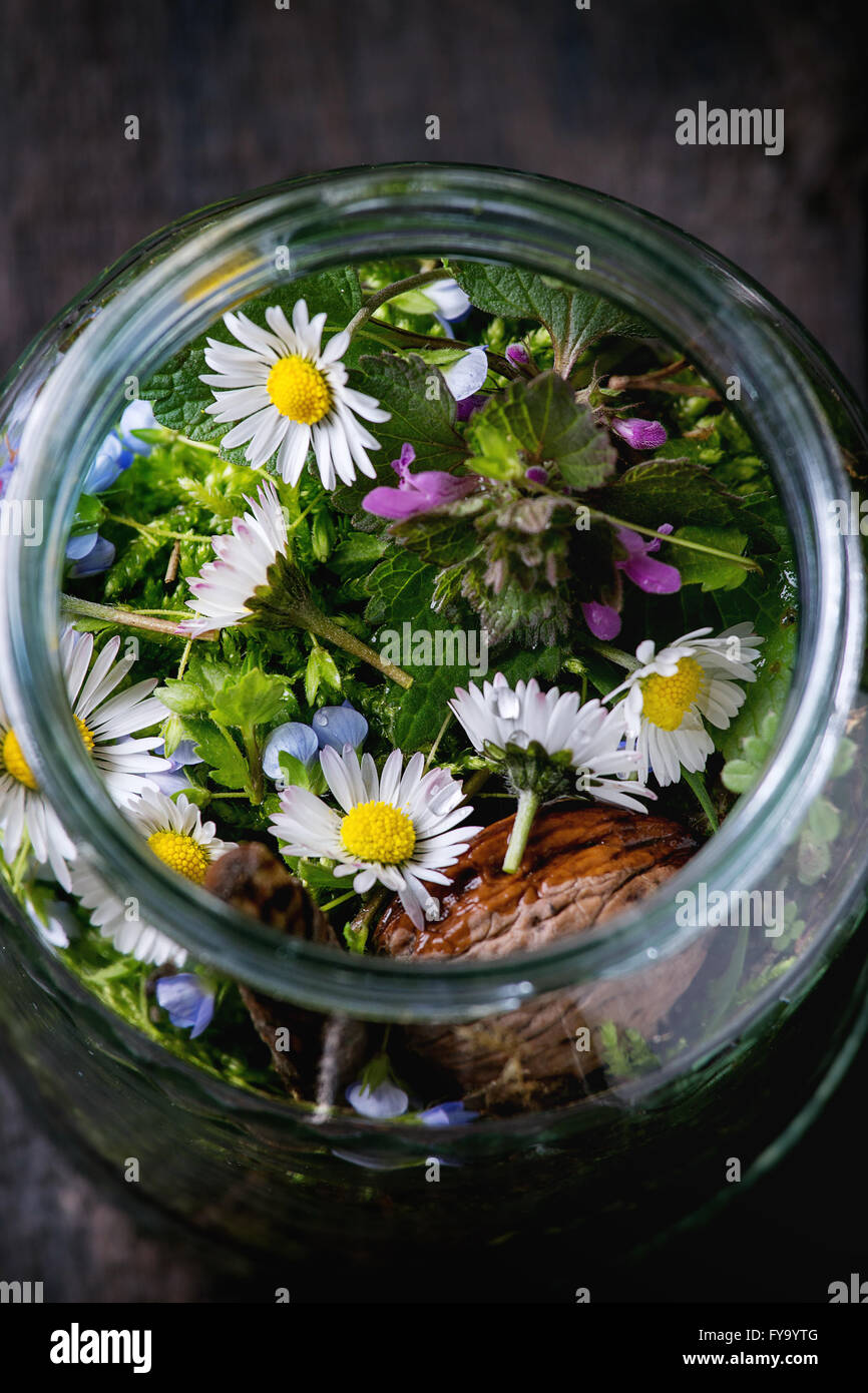 Wildflowers in glass jar Stock Photo