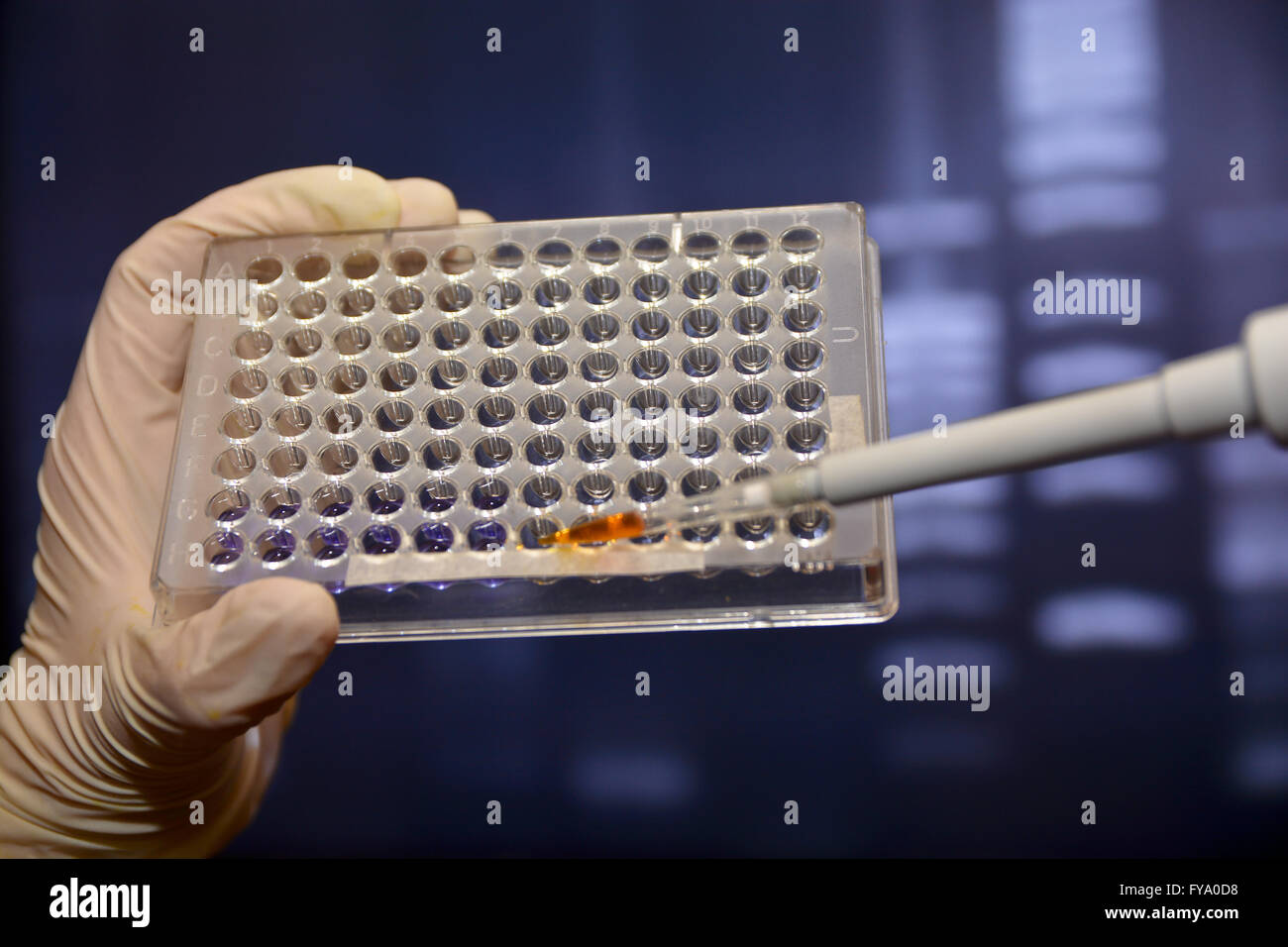 engineering and pipette hires stock photography and images Alamy
