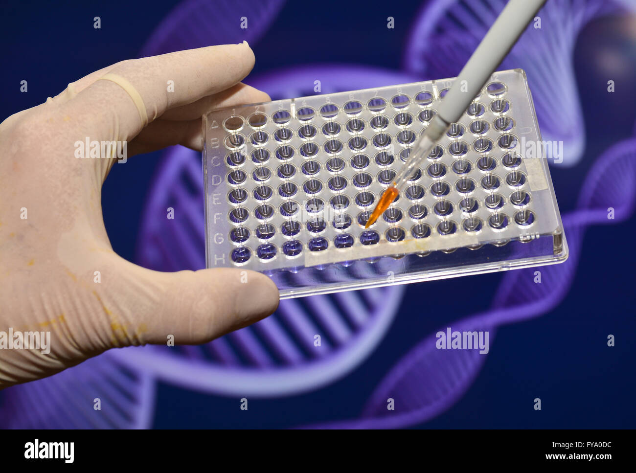 DNA testing in laboratories. Biological scientific equipment