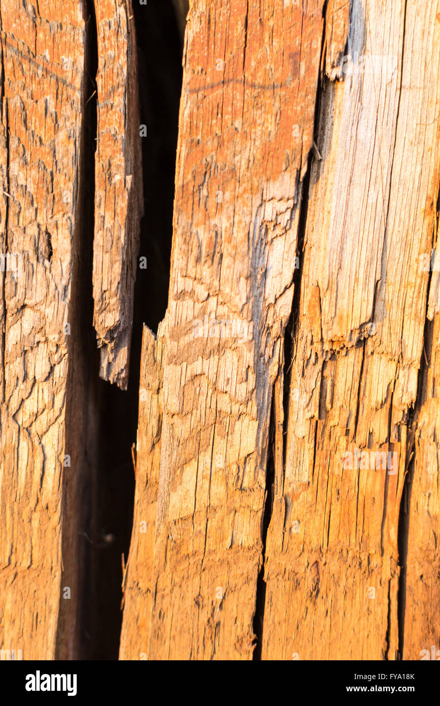 Split timber texture hi-res stock photography and images - Alamy