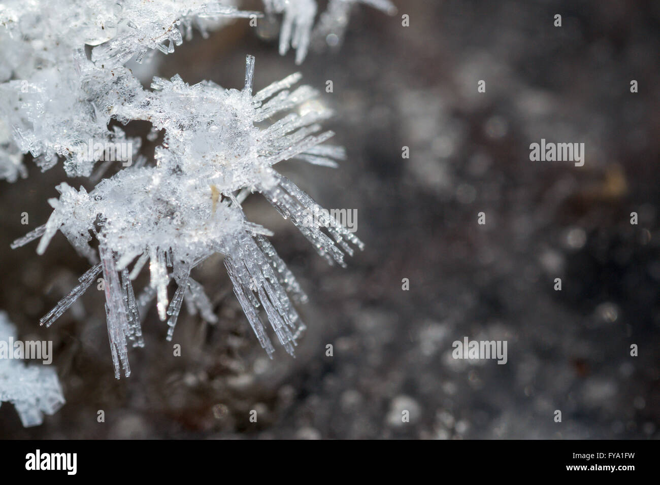 Ice crystal formation in closeup with a defocused background Stock Photo