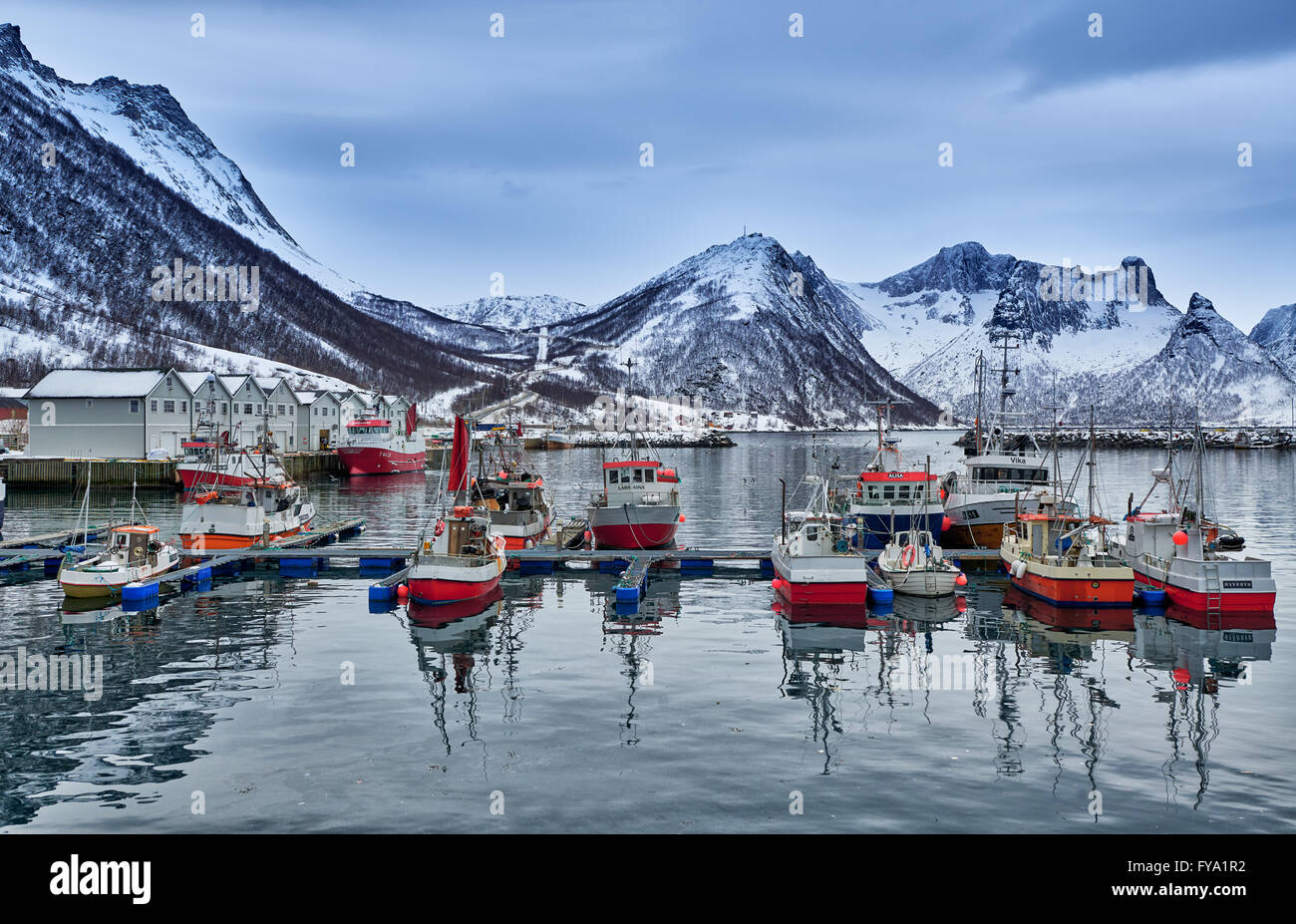 fishing vessels in harbor of Husøy i Senja,Senja, Troms, Norway, Europe Stock Photo