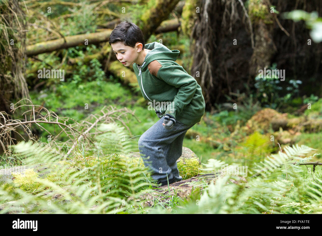 Boy playing in forest Stock Photo