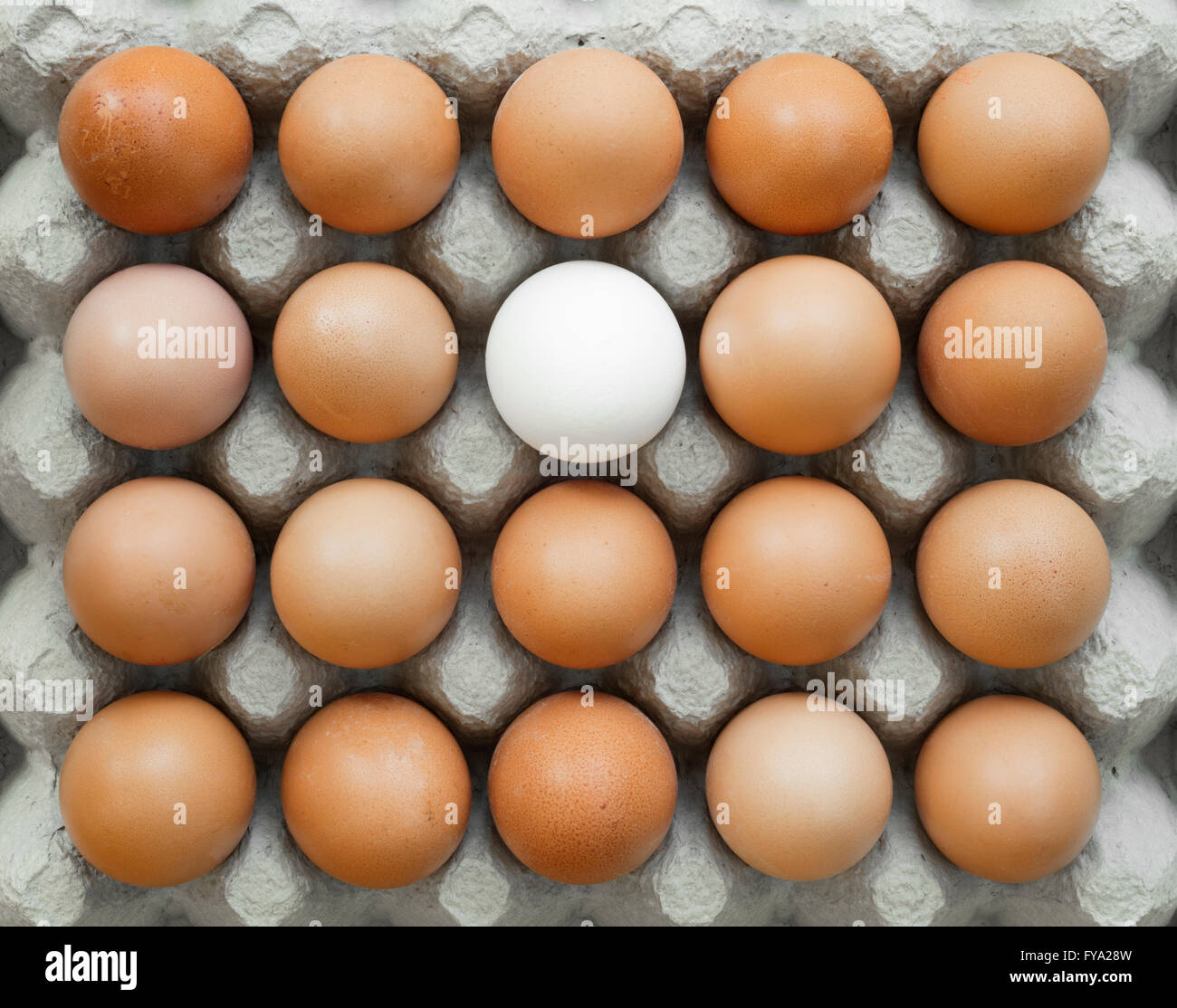 Group of ordered, identical chicken eggs where there is one different