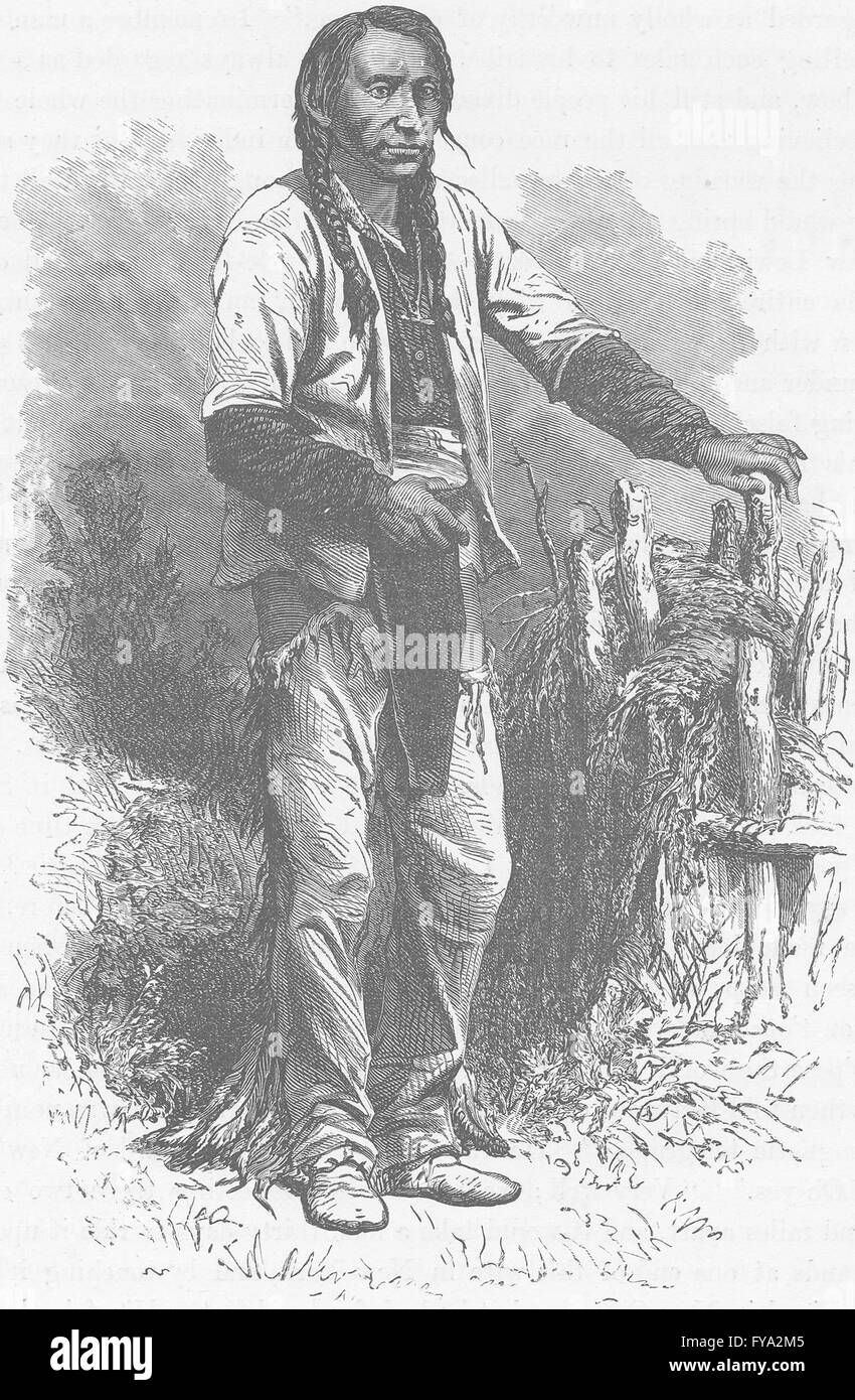 UTAH: The Wolf, a Ute Indian, antique print 1890 Stock Photo