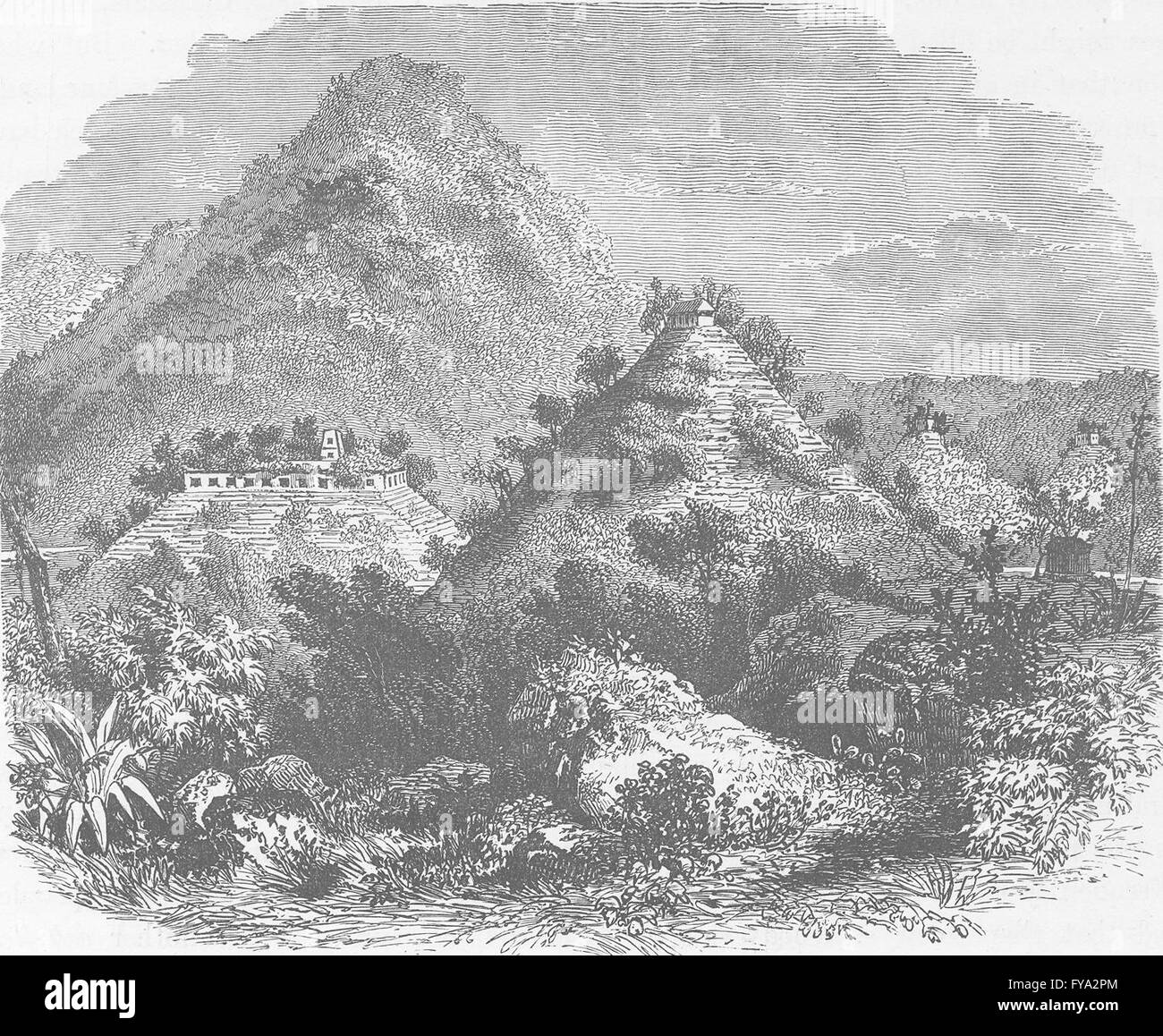 Mexico palenque Black and White Stock Photos & Images - Alamy