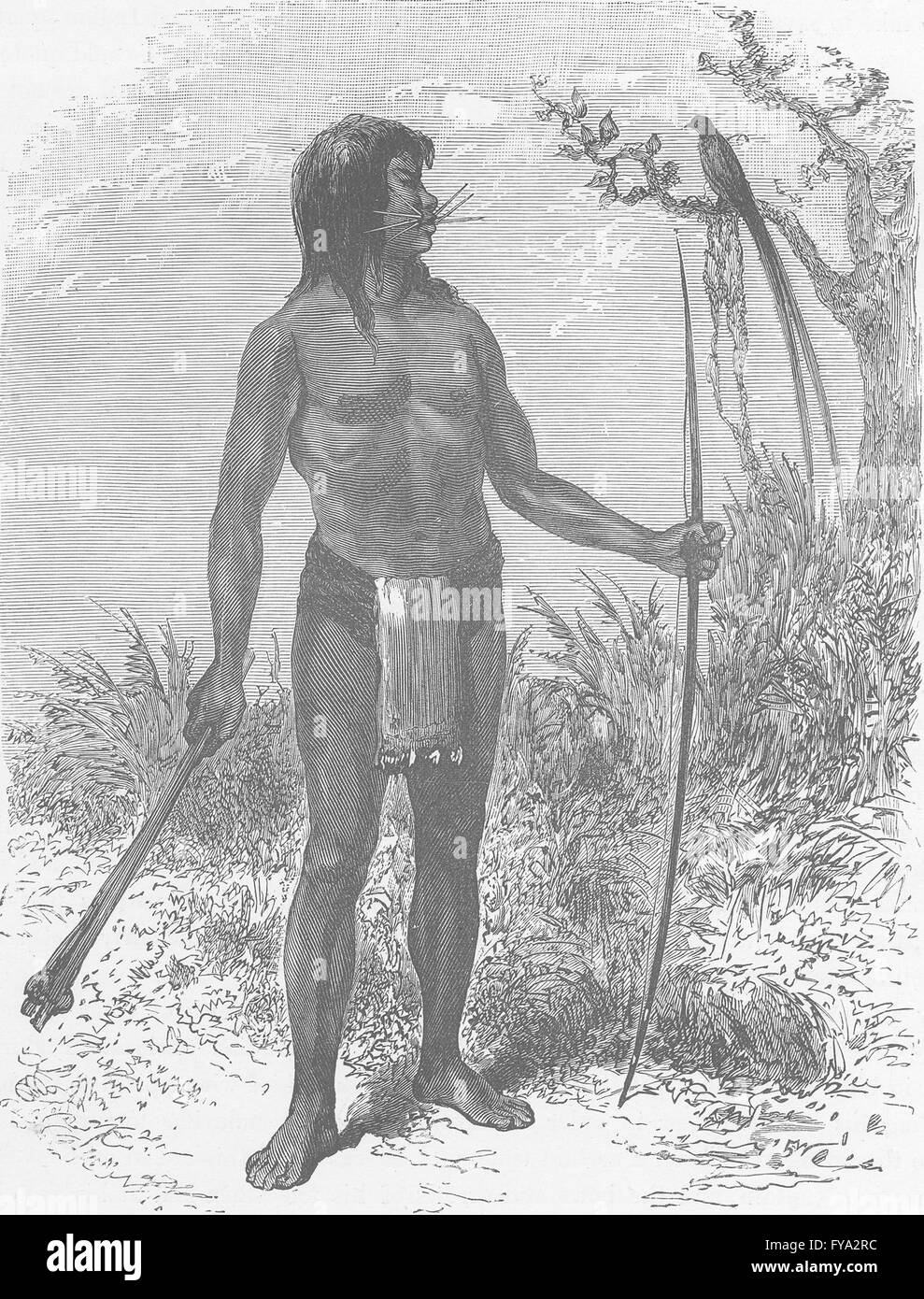 BRAZIL: Mesaya Indian of the River Japura, Amazon tributary, old print 1890 Stock Photo