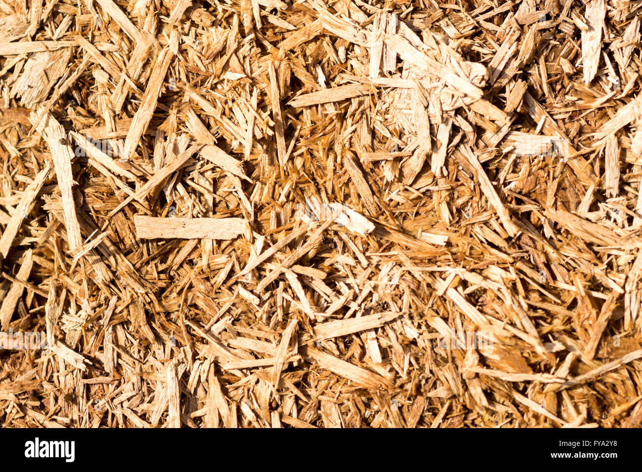 Aged chipboard wood texture background with copy space area Stock Photo