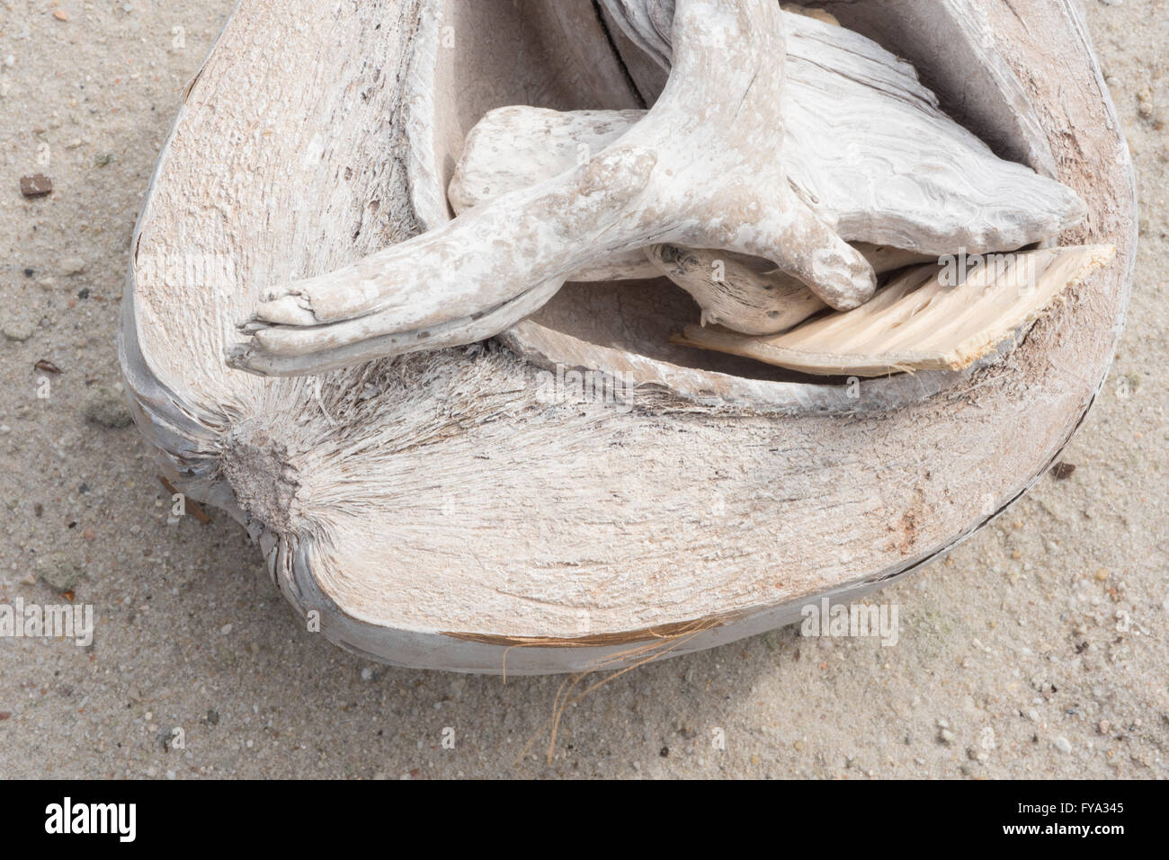 jetsam and coconut on the sand on the beach Stock Photo